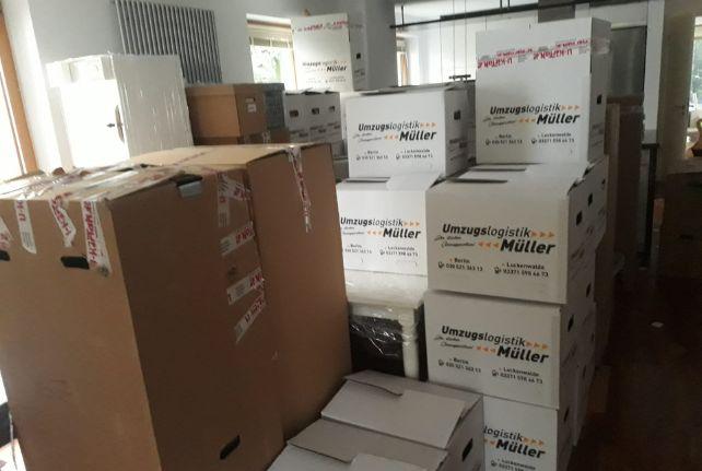 Labor Umzug preise erfahren in Kriebstein