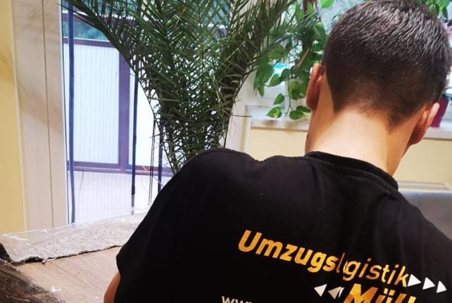 Preise für Ihren Studentenumzug in Kriebstein